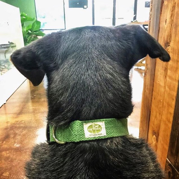 solid hemp adjustable collars - 